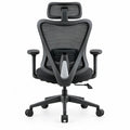 Ergonomische bureaustoel met verstelbare hoofdsteun en lendensteun, zwart/zilvergrijs, 66 x 66 x 118-128 cm