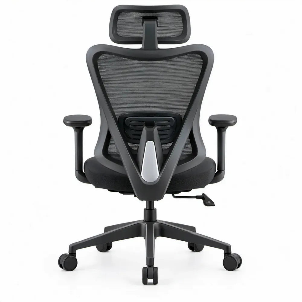 Ergonomische bureaustoel met verstelbare hoofdsteun en lendensteun, zwart/zilvergrijs, 66 x 66 x 118-128 cm
