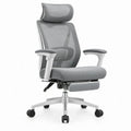 Ergonomische bureaustoel met verstelbare hoofdsteun en lendensteun, grijs/zilver, 66 x 66 x 116-126 cm